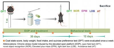 Combination of Walnut Peptide and Casein Peptide alleviates anxiety and improves memory in anxiety mices